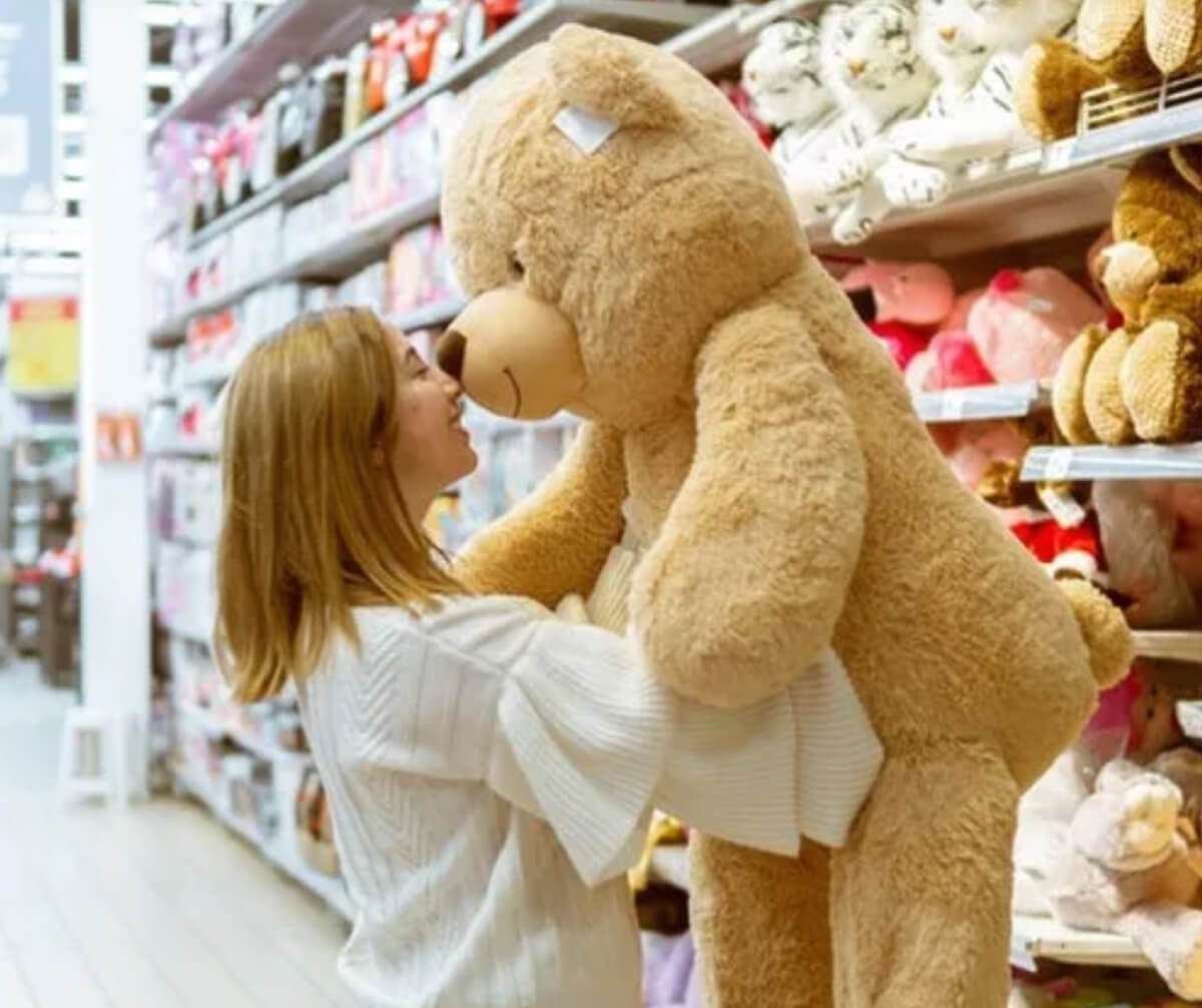 Definition and Categorization of Plush Toys (1)