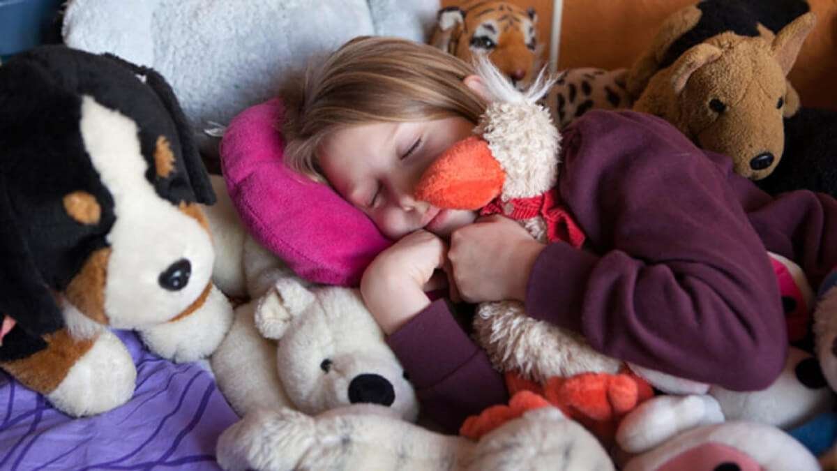 Five Cuddly Toys Should Suffice - So Cute and Cuddly!
