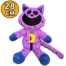 28cm Shiny Star Sequins CatNap Plush