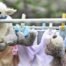 Best Way to Get Dust Off For Stuffed Animals Quickly & Safely